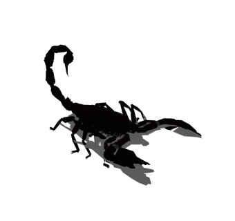 精品动物模型 蝎子 (2)